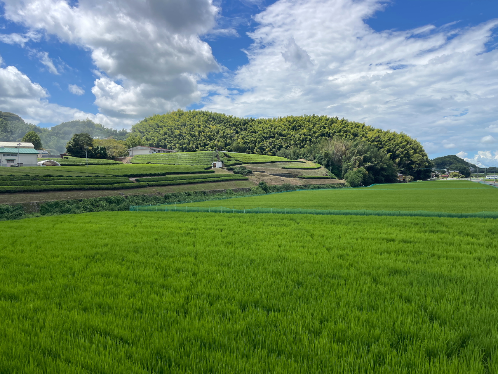 イメージ: 町に残る誇りと成長