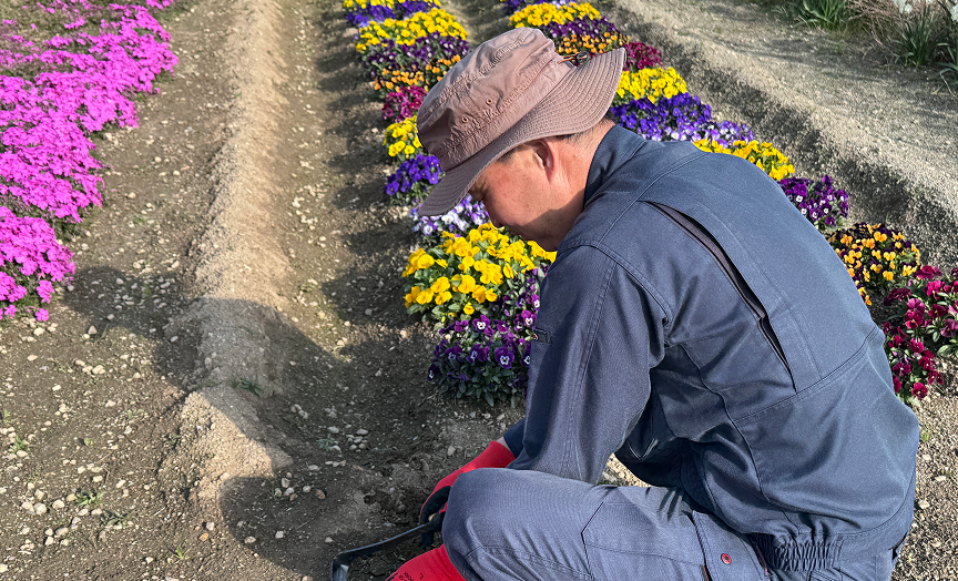 イメージ: IMG019