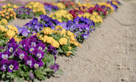 イメージ: ストレス対策